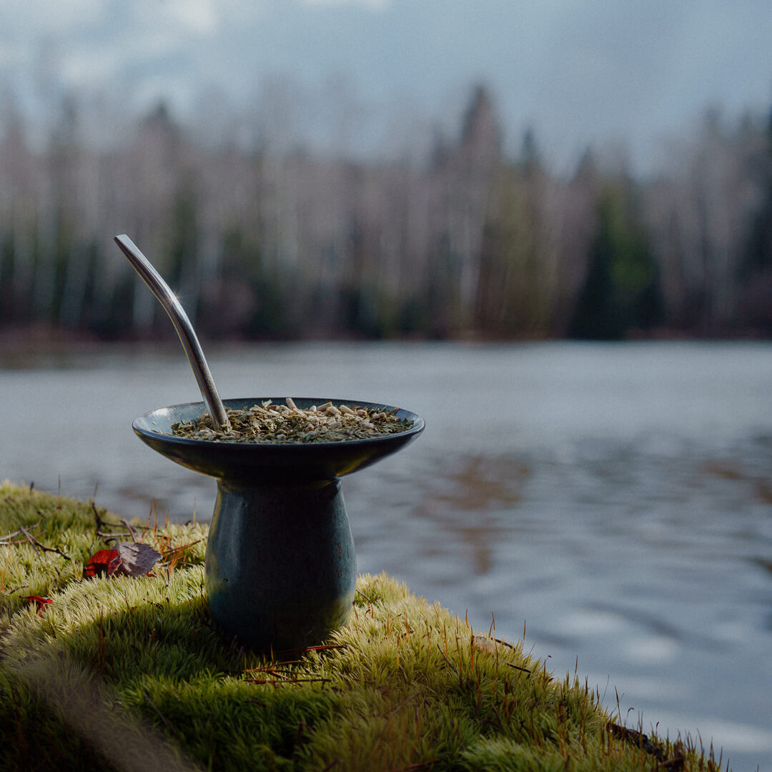 cuia mate tee bomba am See auf Baumstamm