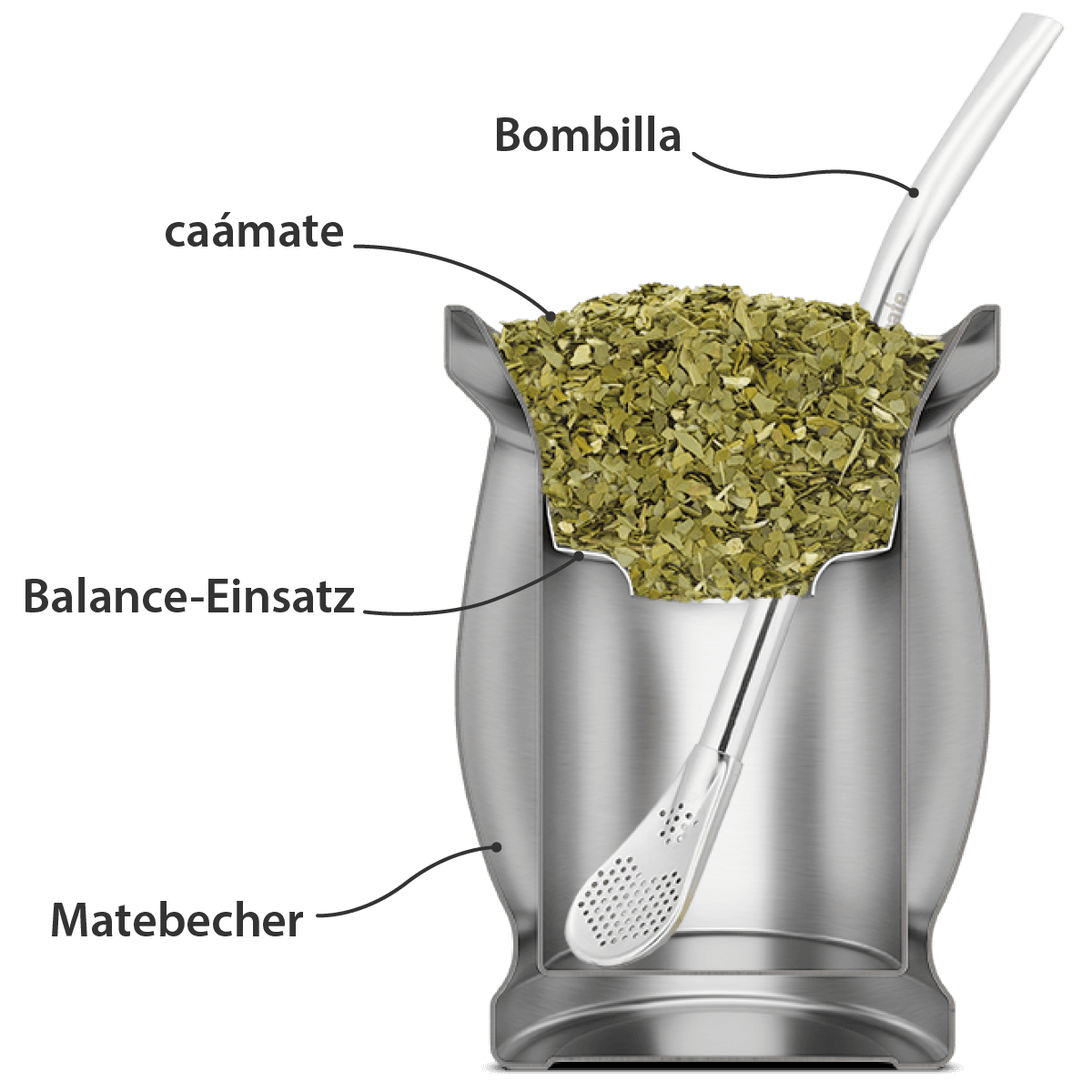 Mate Tee  Begriffe erklärt